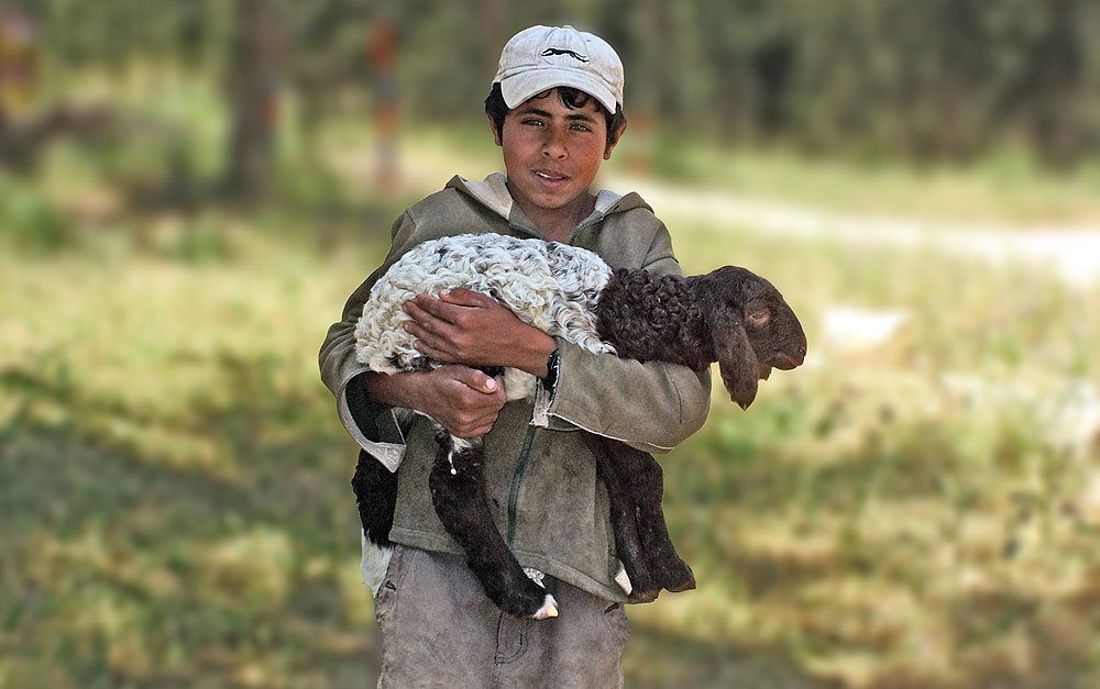 Palavra de Jerusalém