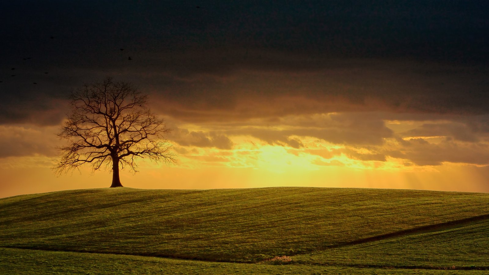 Decifrando os acrósticos proféticos de Jeremias