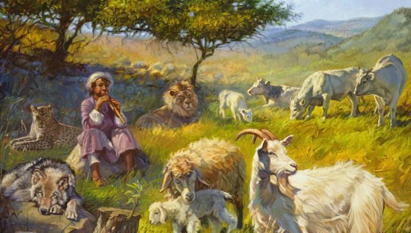 O Exemplo Davídico de Arrependimento Sincero e Conversão que Agrada a Deus