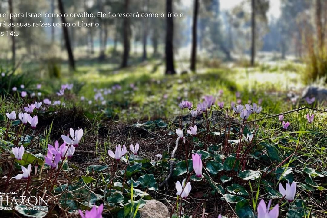 30 versículos bíblicos com imagens impactantes para você compartilhar