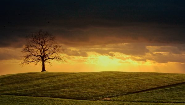 Decifrando os acr&oacute;sticos prof&eacute;ticos de Jeremias