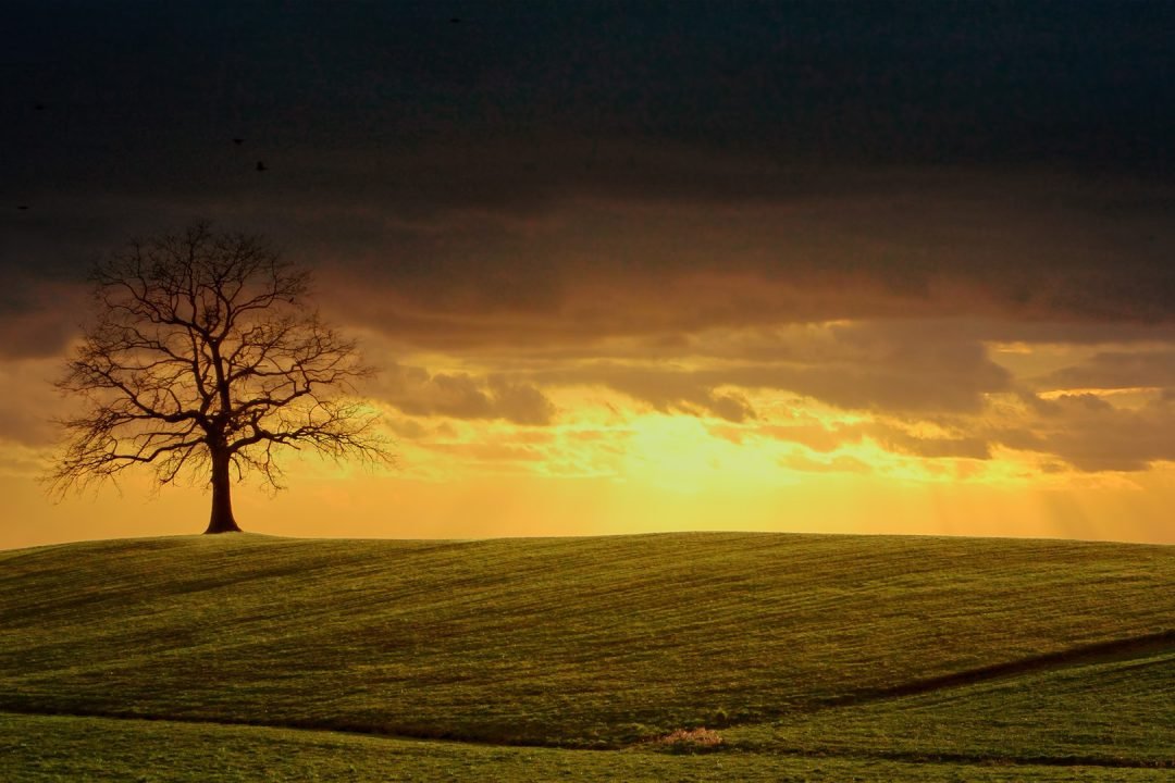 Decifrando os acr&oacute;sticos prof&eacute;ticos de Jeremias