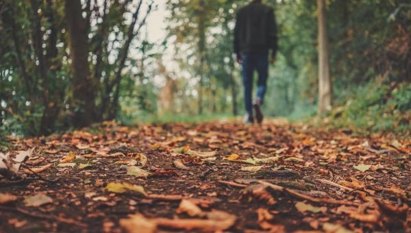 Do Olhar &agrave; Consuma&ccedil;&atilde;o, os passos da queda