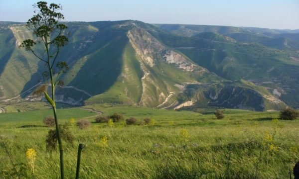 golan-1023403_1920-768x576-1