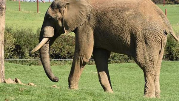 Summer in New Zealand