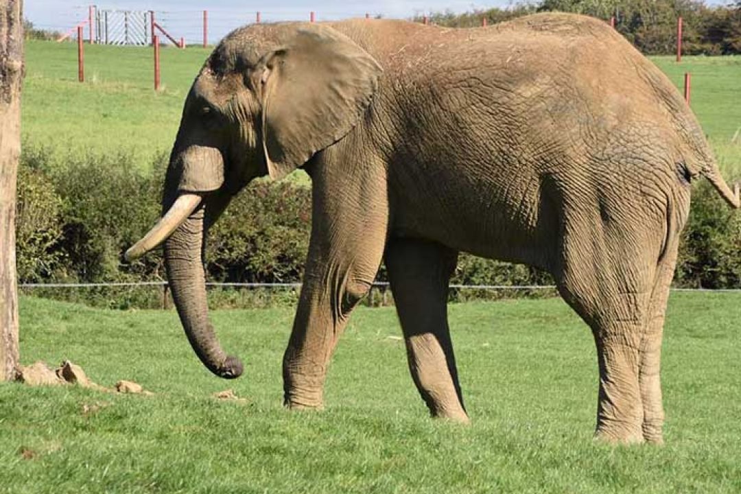 Summer in New Zealand