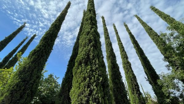 Judéia, berço da fé judaica e cristã