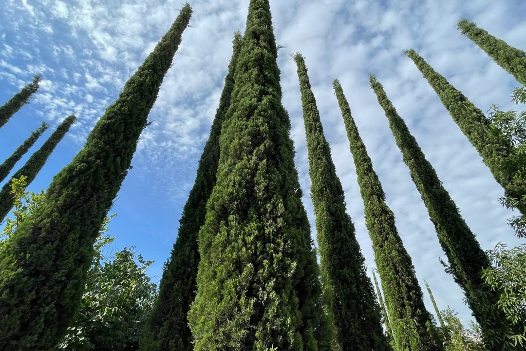Judéia, berço da fé judaica e cristã