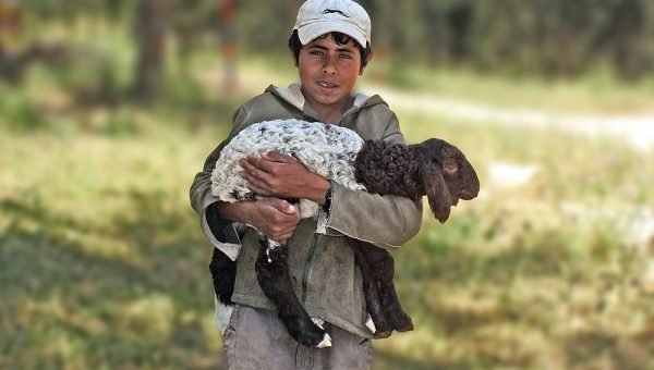 Palavra de Jerusalém