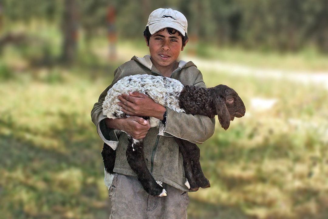 Palavra de Jerusal&eacute;m