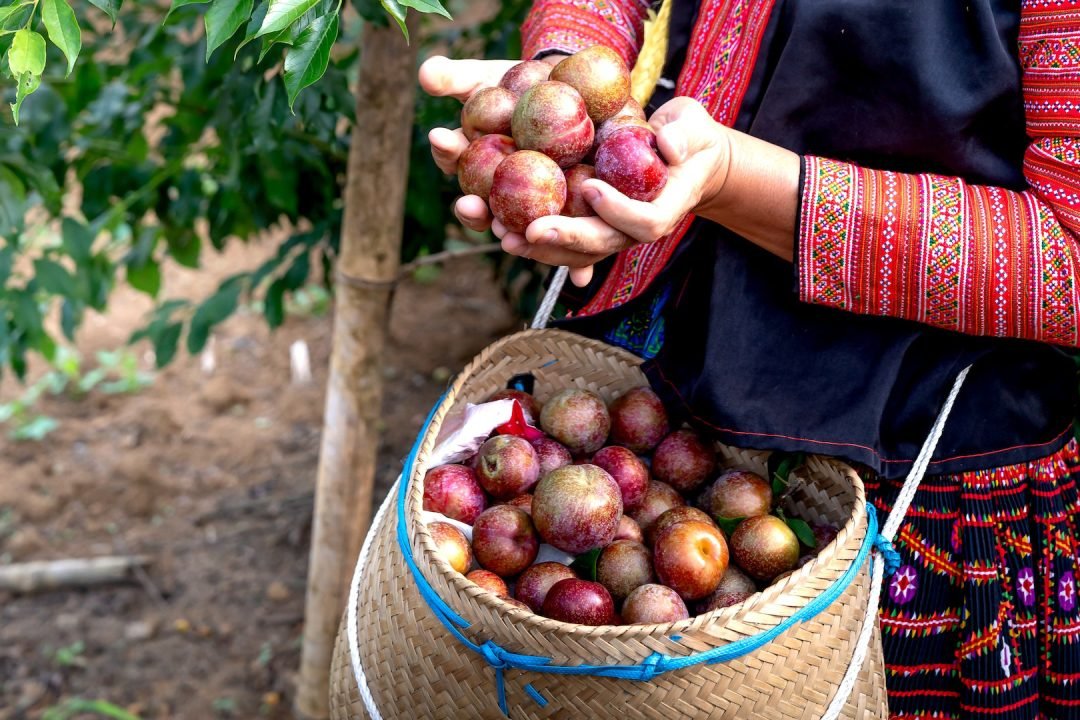 Abigail e o caráter de uma rainha